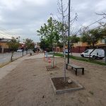 El Quillay 655, Araucarias de Colina